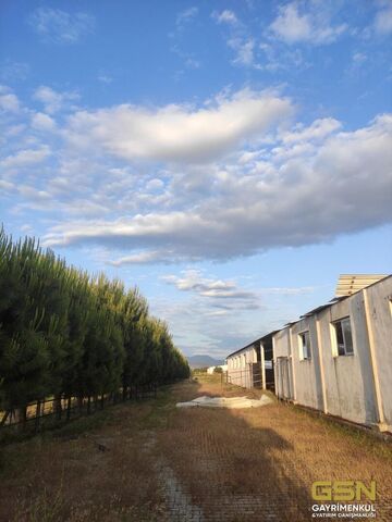 7-İZMİR DİKİLİ BAHÇELİ MAHALLESİNDE DENİZE 3. PARSEL 48.000 M2 İÇERİSİNDE KURULU 4000 BÜYÜKBAŞLIK RUHSATLI ÇİFTLİK